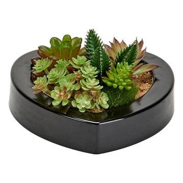 Mixed Succulents in 7" Heart Shaped Black Plastic Container