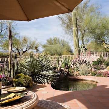 Colorful Desert - Phoenix Home&Garden