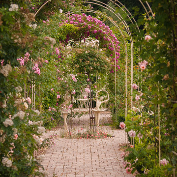 Roseraie romantique dans un parc