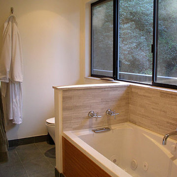 Laurel Canyon renovation