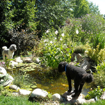How to Spruce Up a Backyard? Add a Beautiful Pond!