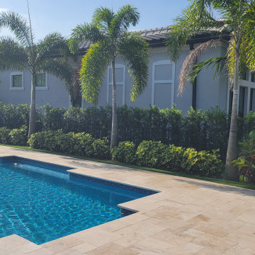 Parkland Modern Tropical Backyard with Palm Trees & Turf