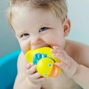 Lindsay Hooten's photo