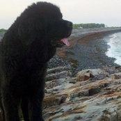 Zeb Bogdanich's photo
