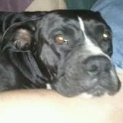 Wendy Chittys billede
