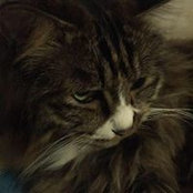 Eric Du's photo