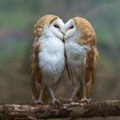 Foto von Peggy McCowan