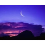 عامر مرعب's photo