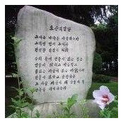 Isabel MaCue's photo