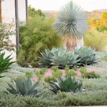 Native Planting Scheme