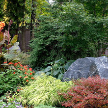 PLANT COMBİNATİONS