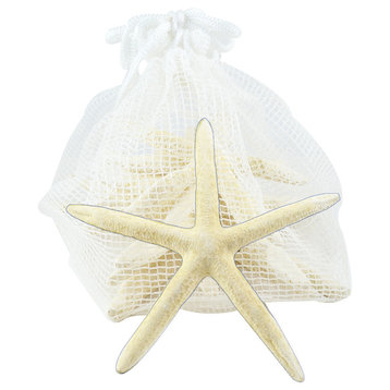 White Finger Starfish, Set of 10