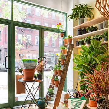 Tend Greenpoint plant store designed by C.Wall Architecture
