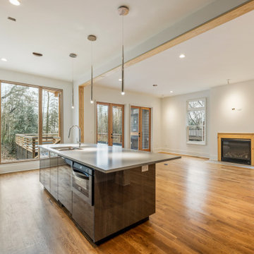 Contemporary Kitchen Midtown Atlanta