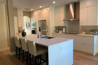 Minimalist kitchen photo in Dallas