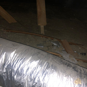 Attic Insulation