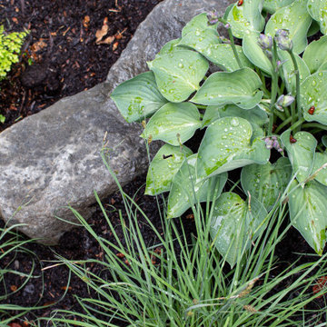 Richmond Asian-Inspired Garden
