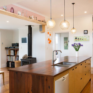 Mid-sized contemporary kitchen pantry ideas - Kitchen pantry - mid-sized contemporary galley kitchen pantry idea in Auckland with a double-bowl sink, stainless steel appliances and an island