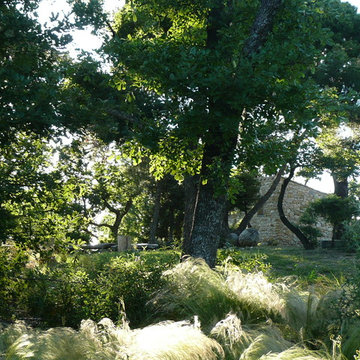 Domaine viticole à Sablet (Vaucluse)
