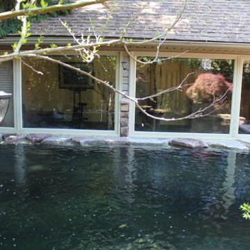 rons back yard