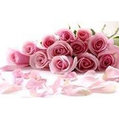 Hala Nassar's photo