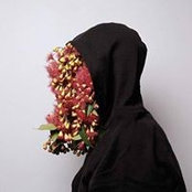 Adi Shaul's photo