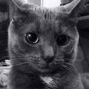Leah Li's photo