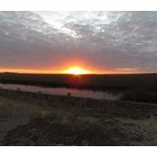 Tina Smith's photo