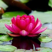 Jennifer Meyer's photo