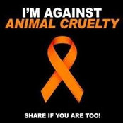 Laurie Farley's photo