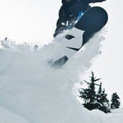 Mike Wight's photo