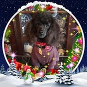 Foto von Pam Bain