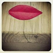 Dora Wang's photo