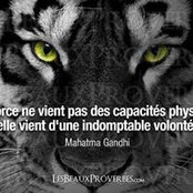 corinne_tribolet's photo