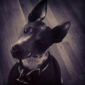 J Willard's photo