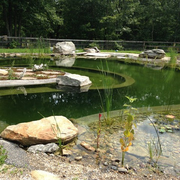 BioNova Natural Swimming Pool - Hartford, CT