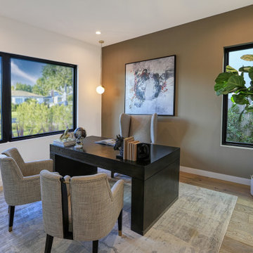 Modern Home | Mar Vista