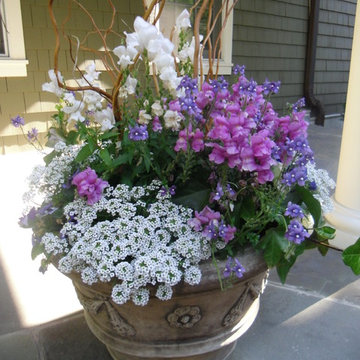 Seasonal Color