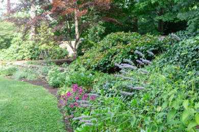 Design ideas for a landscaping in Boston.