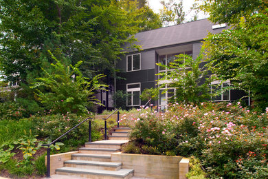 This is an example of a mid-sized contemporary partial sun front yard garden path in DC Metro.