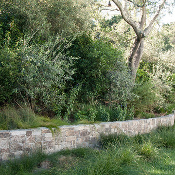 A Naturalistic Colonial Garden