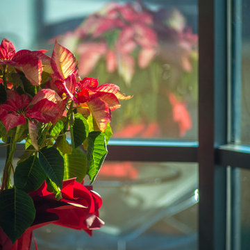 Christmas decoration