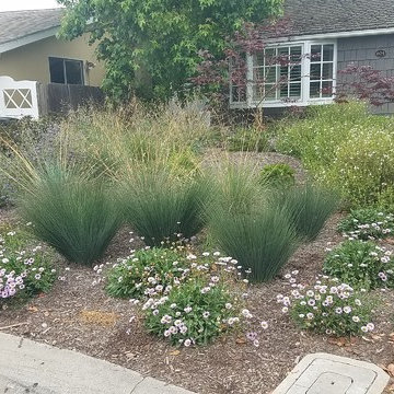Front Yard Makeover In Newport Beach