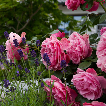 Bella Flora - Garten 26
