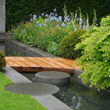 Backyard Ideas