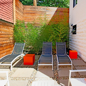 Minimalist Urban Garden