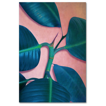 Mark Ashkenazi 'Ficus Elastica' Canvas Art, 24"x16"