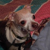 Nancy Larrow's photo