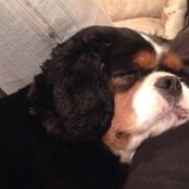 Laura Burbidge's photo
