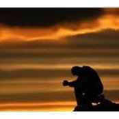 Tammy McNeil Twidale's photo